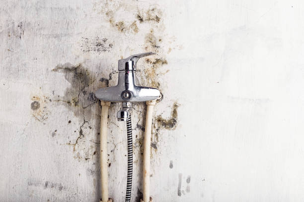 Best HVAC Mold Remediation in Port Dickinson, NY