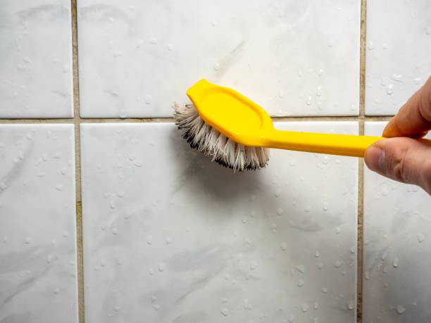 Best Kitchen Mold Remediation in Port Dickinson, NY