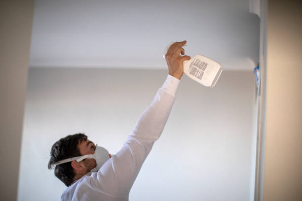 Best Mold Remediation for Schools in Port Dickinson, NY