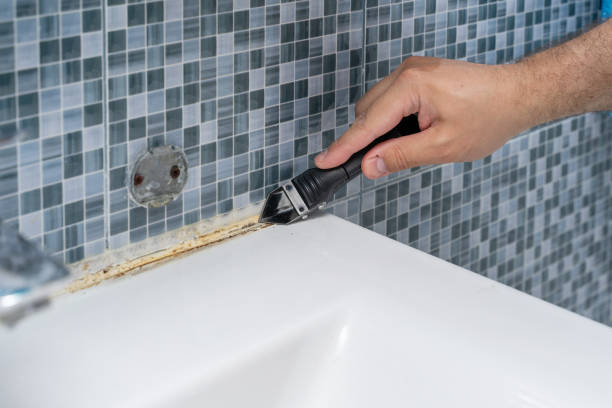 Best Localized Mold Remediation (e.g., coastal areas, humid climates) in Port Dickinson, NY