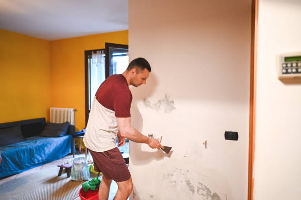 Professional Mold Remediation in Port Dickinson, NY